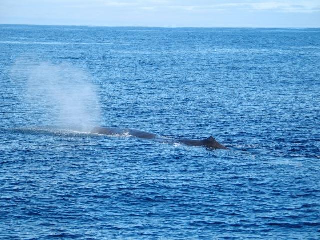 Urlaub in Norwegen 2006